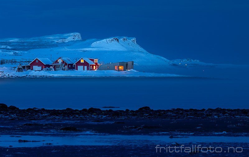ArcticKnows