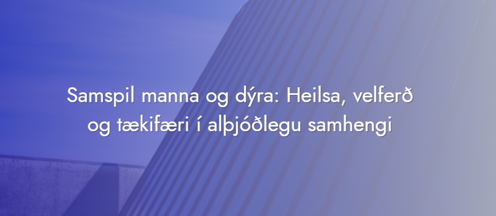 Samspil manna og dýra til umfjöllunar á viðburði Háskóla Íslands