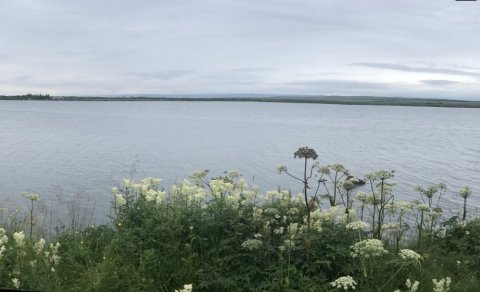 Interdisciplinary research paper on socioecological perspective on wild and farmed arctic charr in a&hellip;