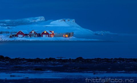 ArcticKnows